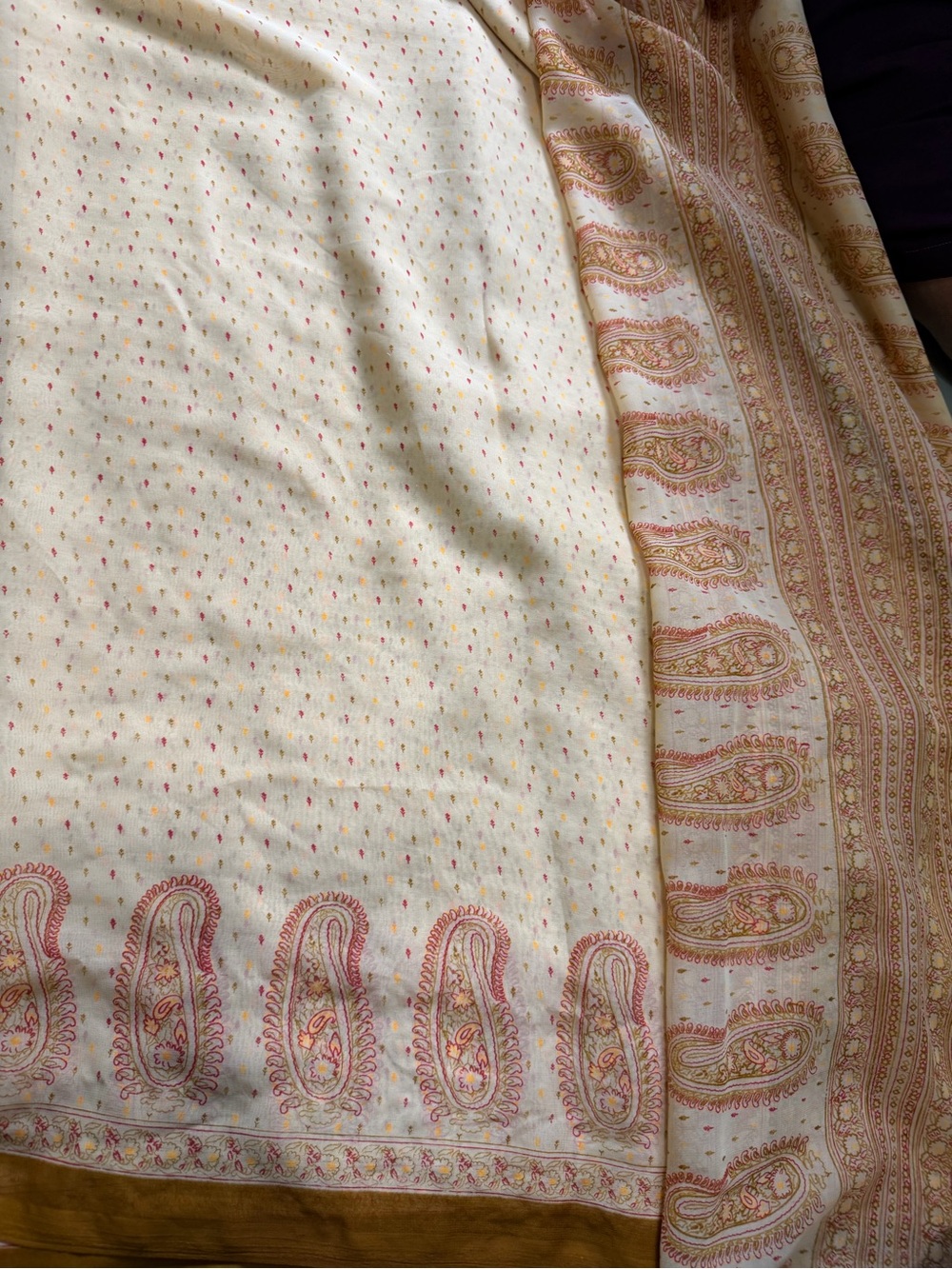 Cream Paisley-Accent Saree with Gold Trim